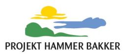 Projekt Hammer Bakker logo